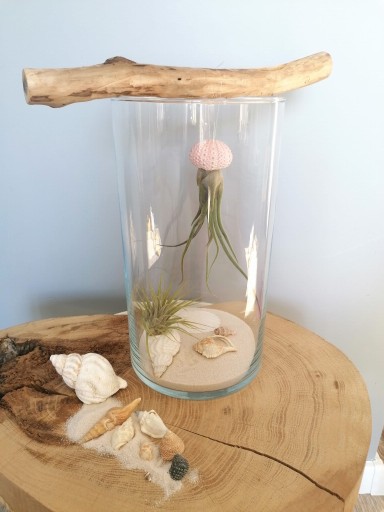 Oplątwa meduza w szkle - DIY