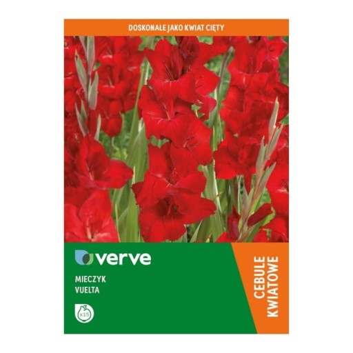 Mieczyk Vuelta Verve