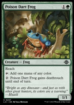 Poison Dart Frog 