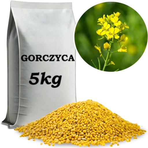 GORCZYCA BIAŁA MATERIAŁ PASZOWY NASIONA 5KG