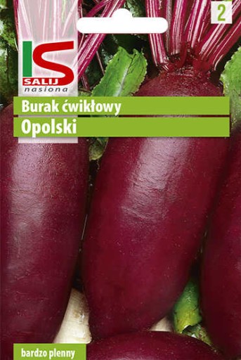 Burak ćwikłowy OPOLSKI 10g Nasiona warzywa! SALNAS