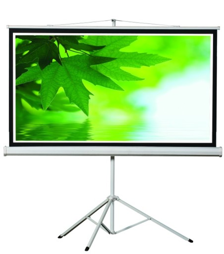 EKRAN projekcyjny PRZENOŚNY ViewSonic na statywie 200x200 cm