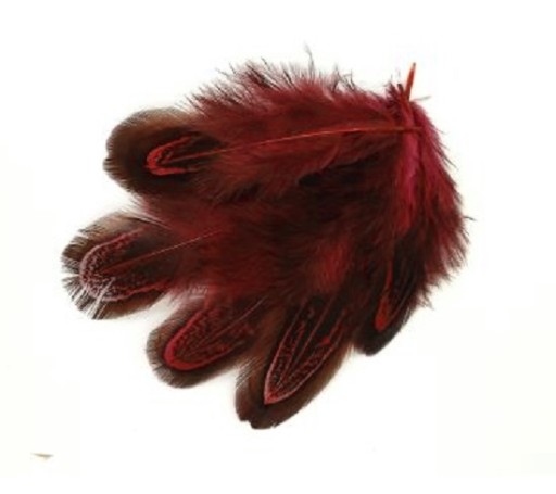 Pióra bażanta migdałowego 5-8 cm RED 10 szt