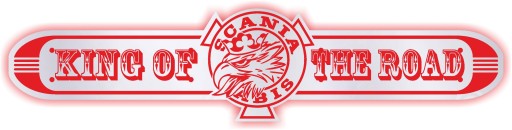 Lustro LED, SCANIA długie 100x25 podświetlane 24v