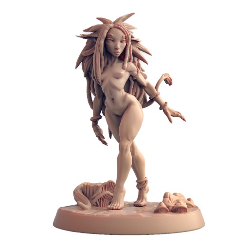 Gwendrel the Troll Maiden RPG DnD D&D Pathfinder