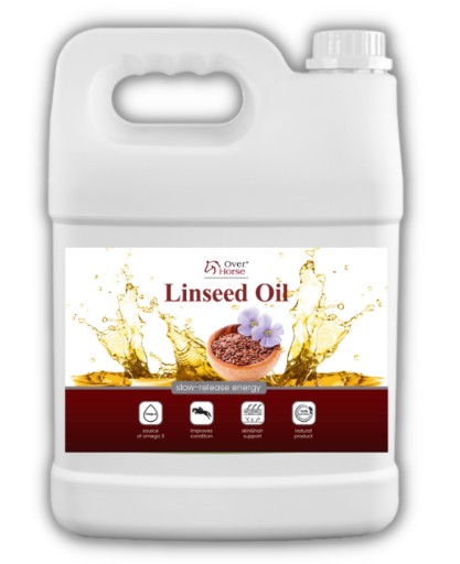 Linseed Oil 5 litrów olej lniany