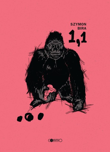 1,1 Szymon Bira