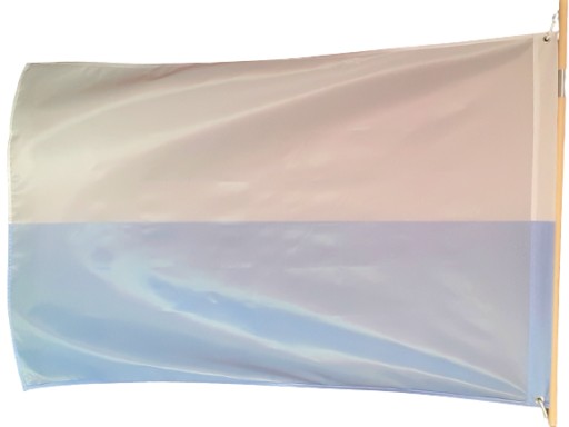 Flaga Maryjna 100x150cm Maszt (Druk-2)