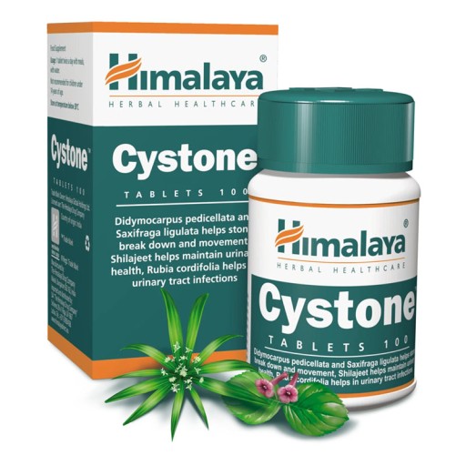 HIMALAYA CYSTONE - 100tabl NERKI KAMICA