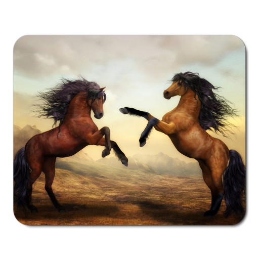 PODKŁADKA POD MYSZ MYSZKĘ KOŃ KONIE KONIKI HORSE