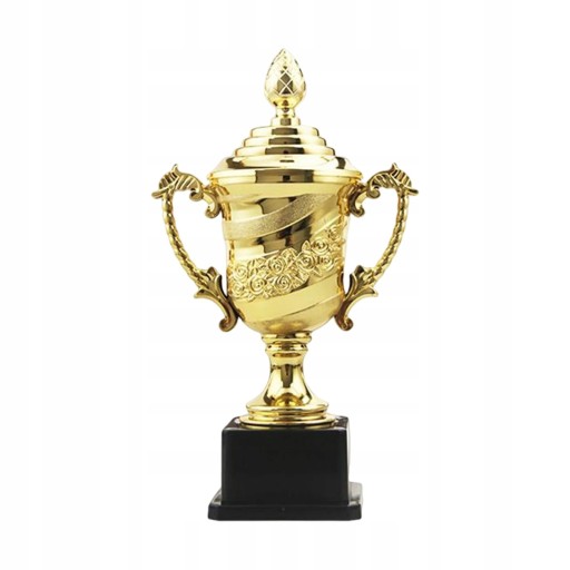 Nagroda Trofeum Nagroda Szkoły Trofeum Wystrój