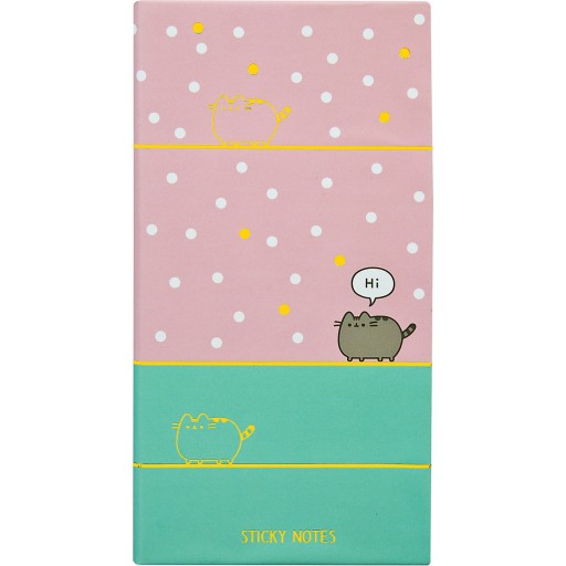 PUSHEEN NOTES Z KARTECZKAMI