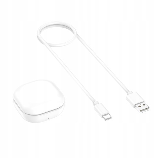 Biały Etui ładujące do Sam sung Galaxy Buds2 SMR177
