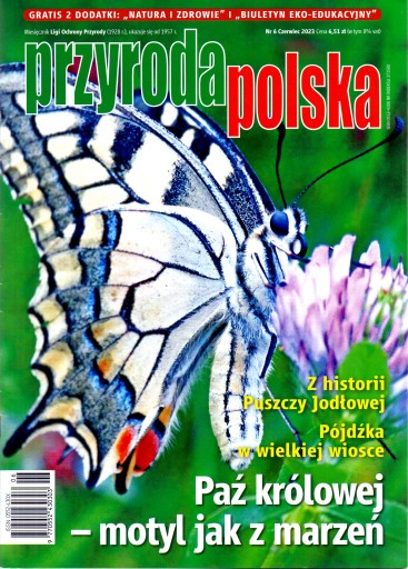 Przyroda Polska nr 6/2023. Paź królowej - motyl...