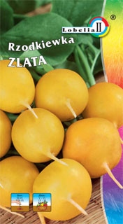 NASIONA RZODKIEWKA ZLATA żółta nie parcieje