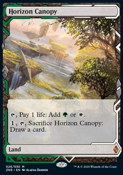 Horizon Canopy 