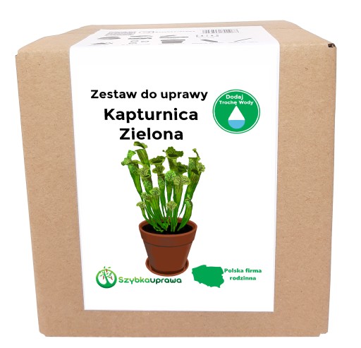 Zestaw do Uprawy mięsożerny kapturnica zielona X