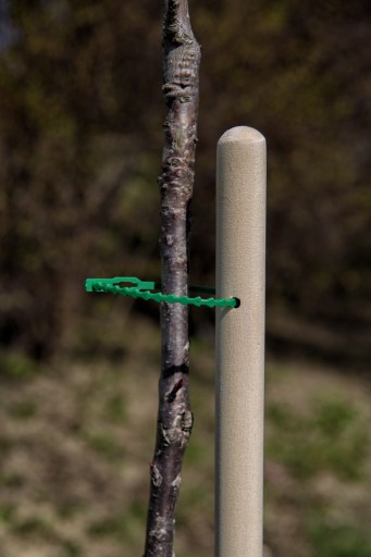 Podpórka podpora warzyw pomidorów 130 cm 22 opaski