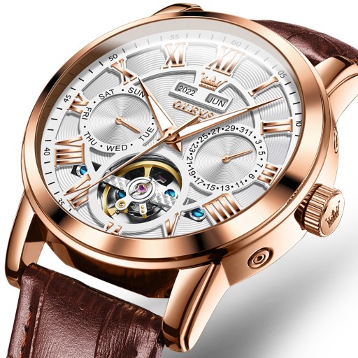OLEVS 6668 Męski Moda Mechaniczny Zegarki
