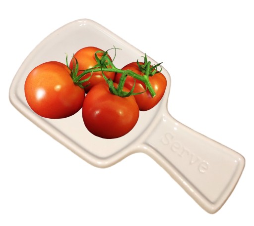 PORCELANOWA PODSTAWKA NA PRZYSTAWKI SOS PRZYPRAWY