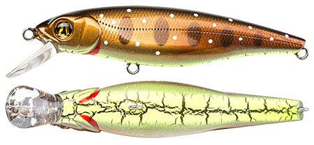 PONTOON21 Greedy Guts 55SP-MDR 429 CB Iwana