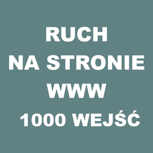 Ruch na stronie internetowej 1000 wejść SEO