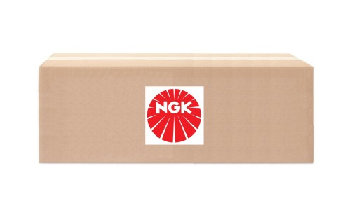 SWIECA ZAPLONOWA NGK 4511