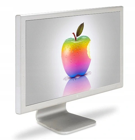 2X Monitor LCD Apple Cinema A1081 20