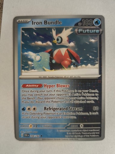 Iron Bundle (PAR 056)