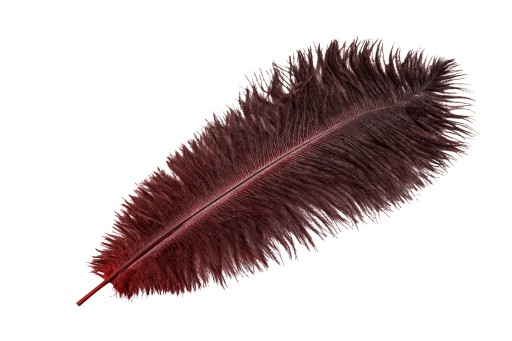 PIÓRO STRUSIE dekoracyjne CIEMNOCZERWONE 45cm