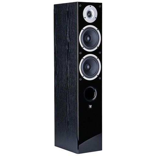 WILSON RAPTOR 5 KOLUMNA GŁOŚNIKOWA PODŁOGOWA HI-FI