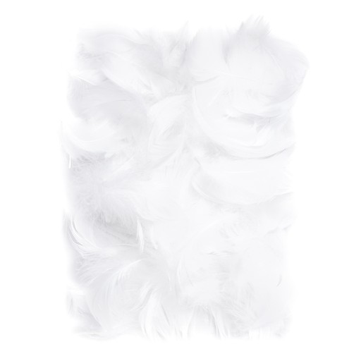 PIÓRA PIÓRKA DEKORACYJNE 5-12 cm 10 g białe