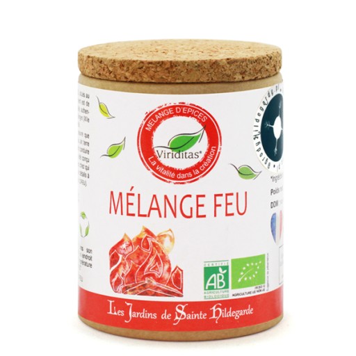 Mieszanka przypraw Św. Hildegardy El.Ognia 50g Bio