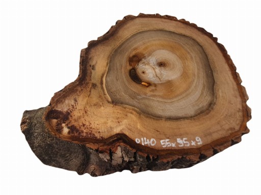 Plaster Orzecha Włoskiego 55x55 Duży Wybór Żywica