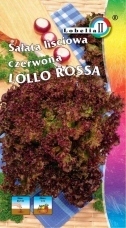 SAŁATA LIŚCIASTA LOLLO ROSSA - 1 GRAM