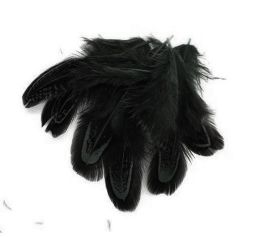 Pióra bażanta migdałowego 5-8 cm BLACK 10 szt