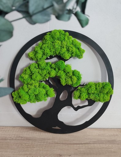 Drzewko Bonsai z mchem chrobotkiem, drzewo mech