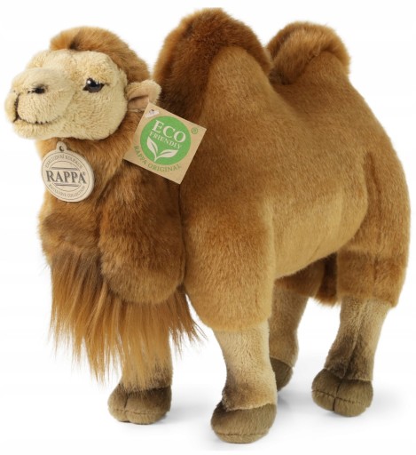 MASKOTKA WIELBŁĄD DWUGARBNY CAMELUS CAMEL PLUSH