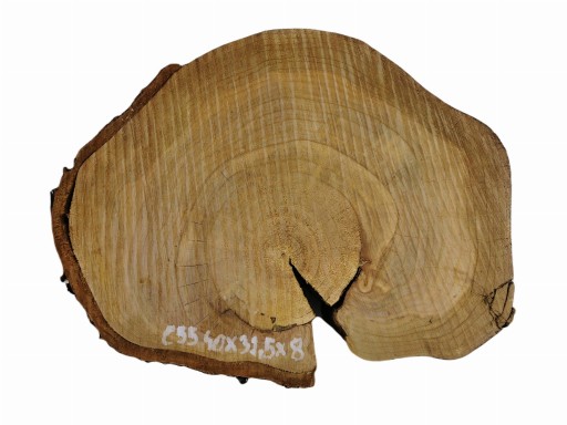 Plaster Czereśni 40x32,5 Duży Wybó Różne Rozmiary