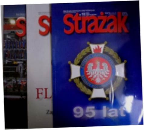 Strażak nr 10-12 z 2016 roku