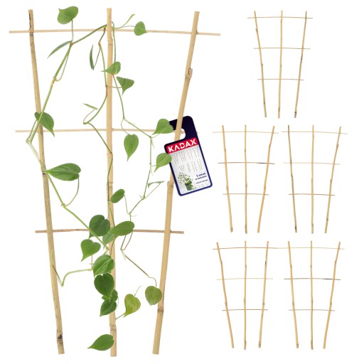DRABINKA BAMBUSOWA PERGOLA PODPORA 46 CM 5 SZT