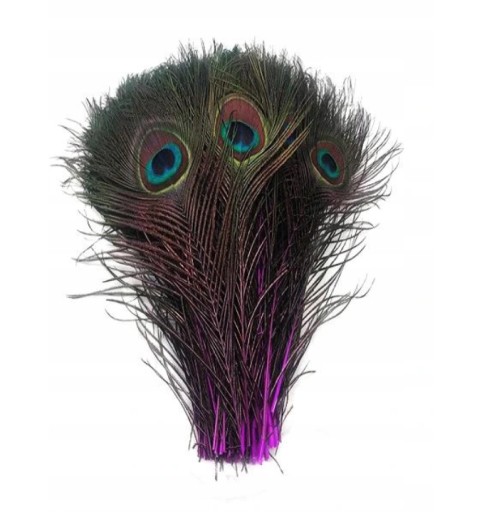 Paw Pióra pawia 25-30 cm AMARANTOWE
