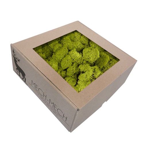 500g Mech Chrobotek Oczyszczony Limonkowy