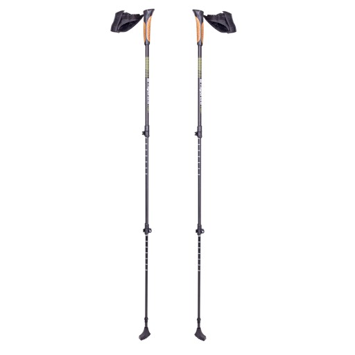 KIJKI do NORIC WALKING inSPORTline regulowane