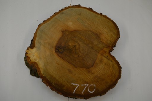 Plaster Drewna Kasztan pod Żywice 53x54cm Gr.6,3cm