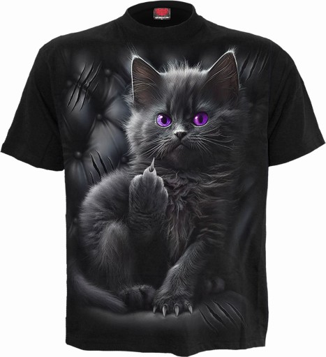 Cattitude - Spiral Direct XL