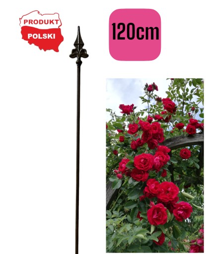 PALIK TYCZKA DO ROŚLIN 120CM PODPORA POMIDORÓW KWIATY METALOWA SOLIDNA
