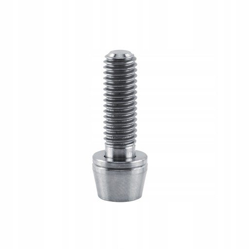 ŚRUBA DO OKŁADZIN HAMULCA TARCZOWEGO M6X16MM