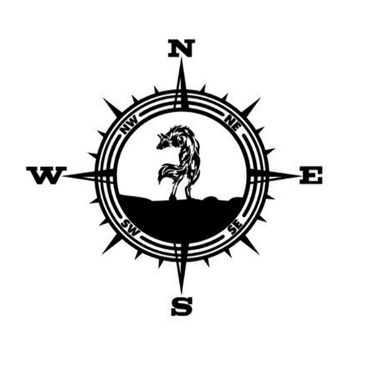 NAKLEJKI NA SAMOCHÓD WOLF KING COMPASS LLWL