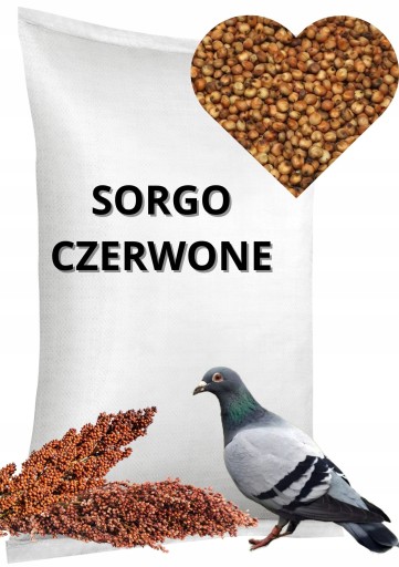 Sorgo Czerwone 25kg